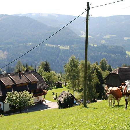 Ferienwohnung Lahnerhof Arriach Esterno foto