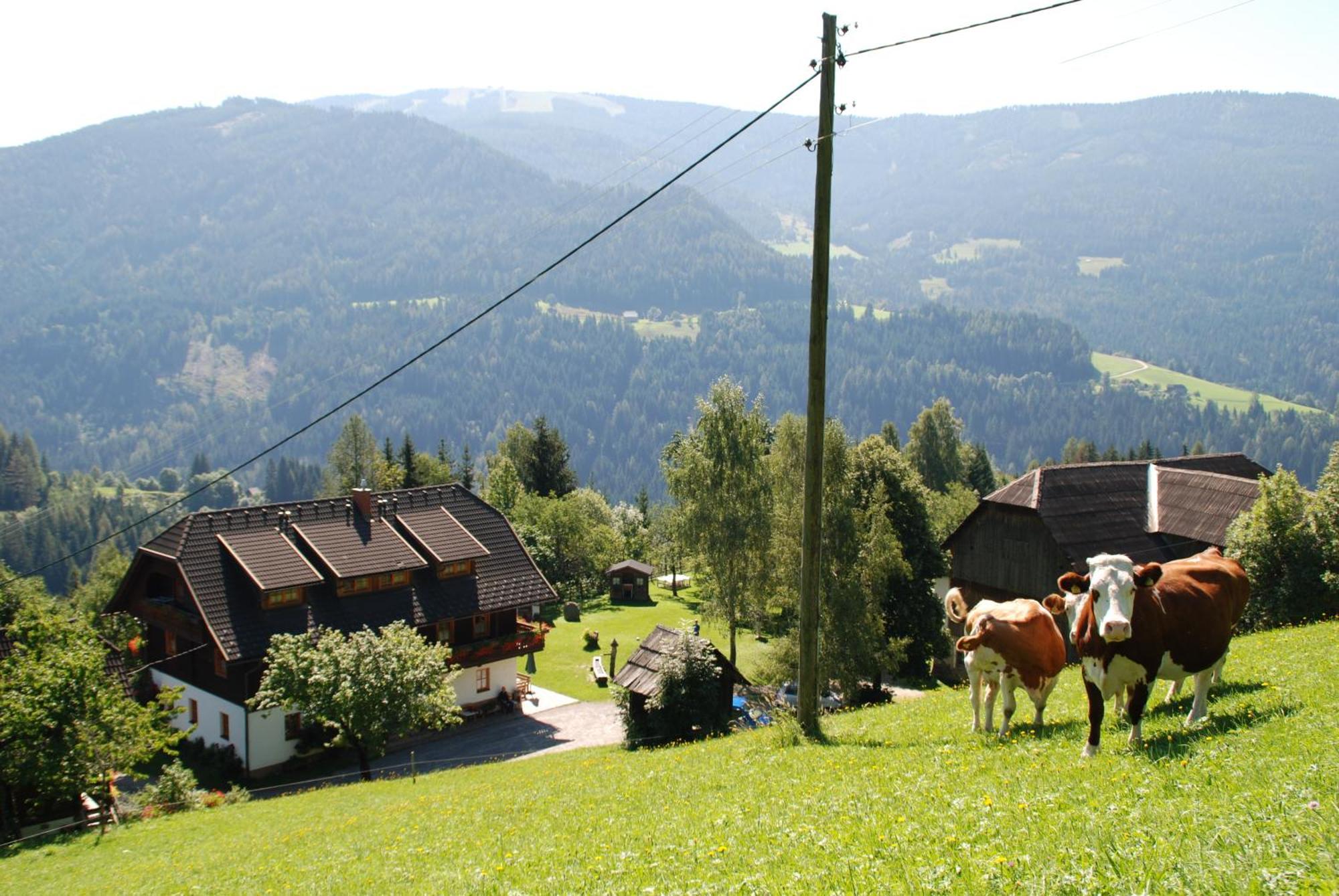 Ferienwohnung Lahnerhof Arriach Esterno foto