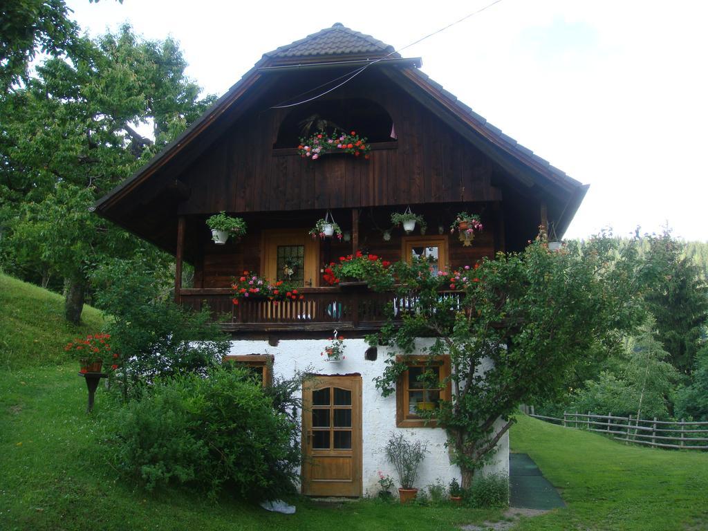 Ferienwohnung Lahnerhof Arriach Esterno foto