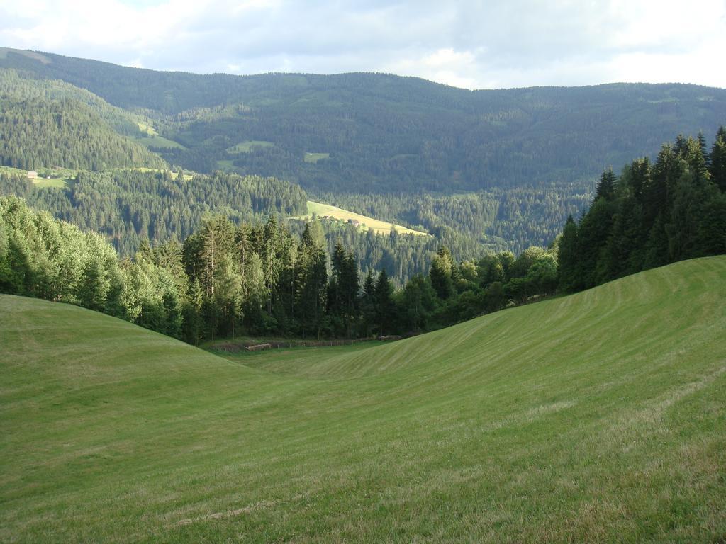 Ferienwohnung Lahnerhof Arriach Esterno foto