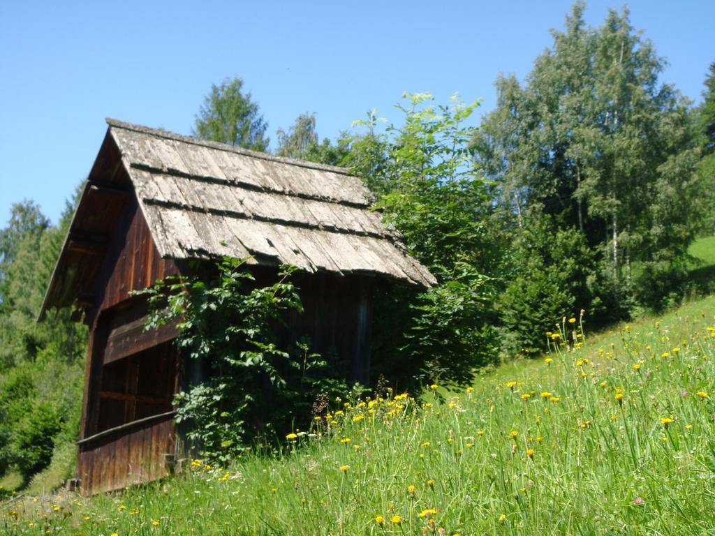 Ferienwohnung Lahnerhof Arriach Esterno foto