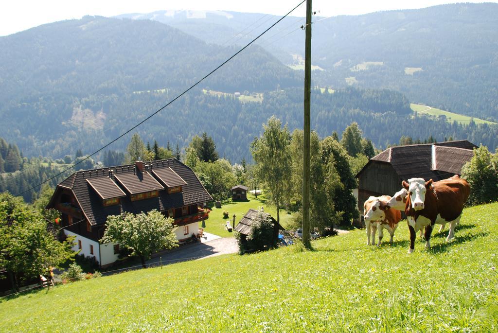 Ferienwohnung Lahnerhof Arriach Esterno foto