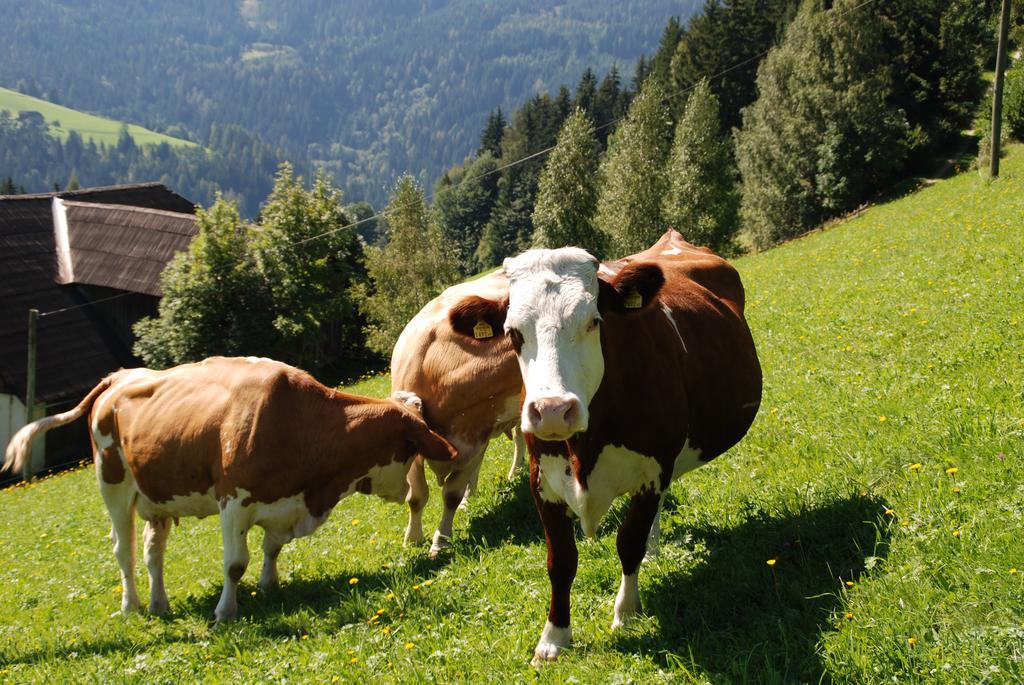 Ferienwohnung Lahnerhof Arriach Esterno foto